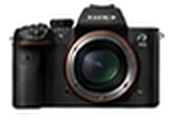 Compact mirrorless camera