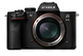 Mirrorless video camera