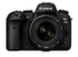 Wildlife DSLR camera