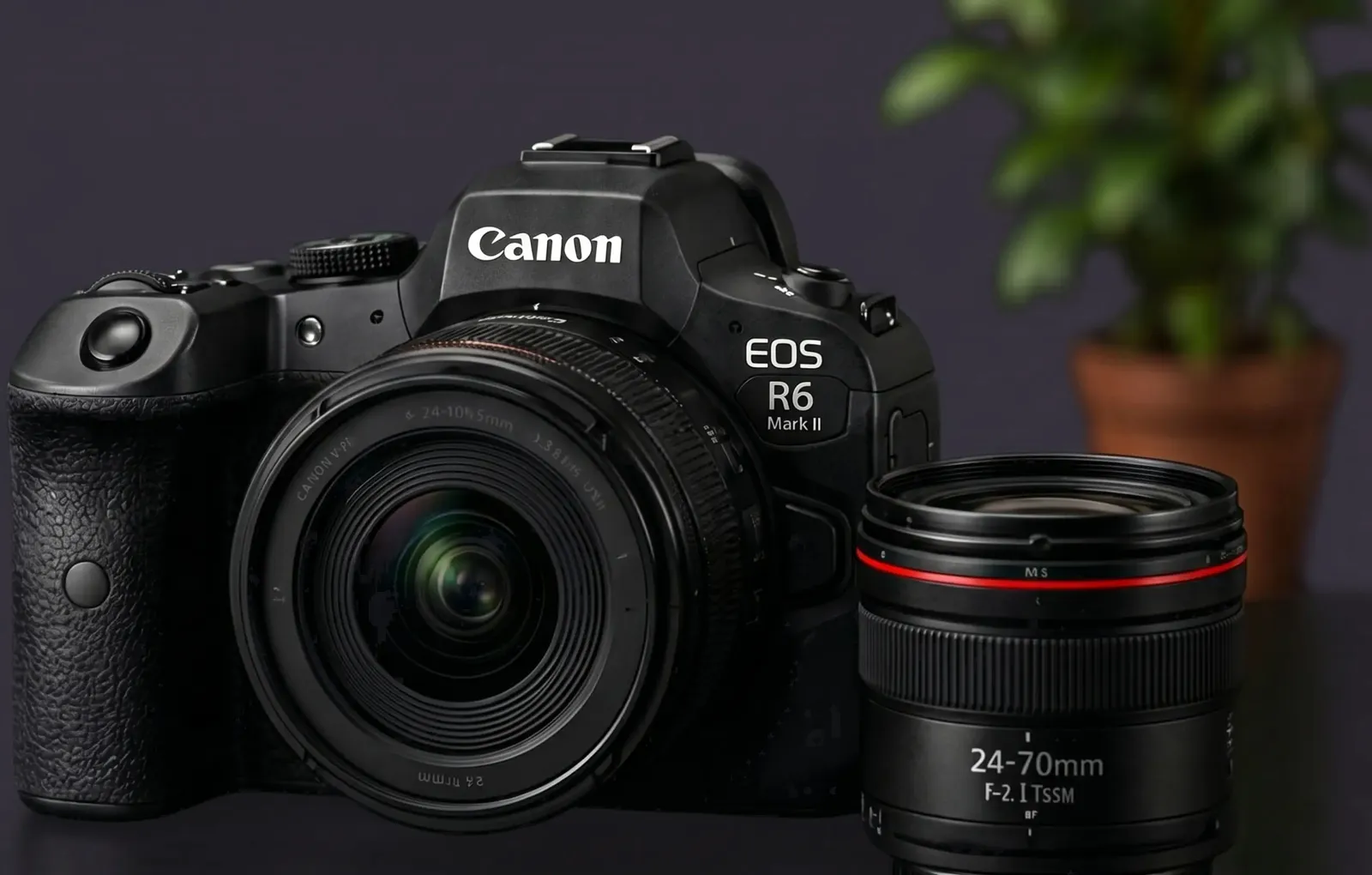 Used mirrorless camera bodies and lenses